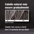 thumbnail image 3 of Shampoo Alpecin Grey Attack 200ml Para Hombres - Eficaz Tratamiento Anticanas y Anticaída / HYPERSOLUTIONS, 3 of 7