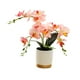 thumbnail image 2 of Flor Artificial de orquídeas de imitación, decoración realista, arreglo de flores, plantas en macetas, decoraciones de bonsái para dormitorio de boda , Rosa Macarena bonsais artificiales, 2 of 8