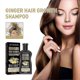 thumbnail image 1 of A Jaysuing ginger Hair Conditioner Shampoo 100Ml |, 1 of 5
