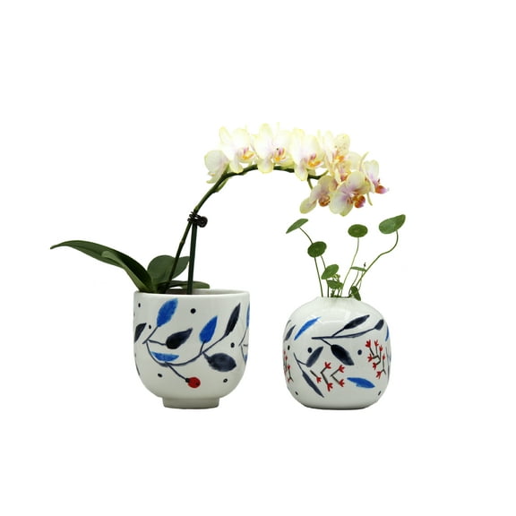 Cotta Planters Hand Painted Ceramic Planter and Vase Set, Decorative Indoor Plant Pot for Orchids, Succulents, 2-Piece Home Décor