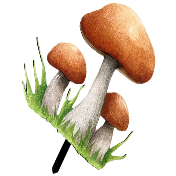 Estaca de hongo para jardín, estaca de hongo para patio, letrero de hongo acrílico, inserto decorativo para jardín