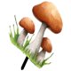 thumbnail image 1 of Estaca de hongo para jardín, estaca de hongo para patio, letrero de hongo acrílico, inserto decorativo para jardín, 1 of 6