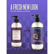 caldrea tangelo palm frond hand soap 10.8 oz