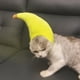 thumbnail image 4 of Popular! Funny Pet Costumes, Cats And Dogs Transformed Into Funny Holiday Costumes, Banana Hats And Headgear, 4 of 5