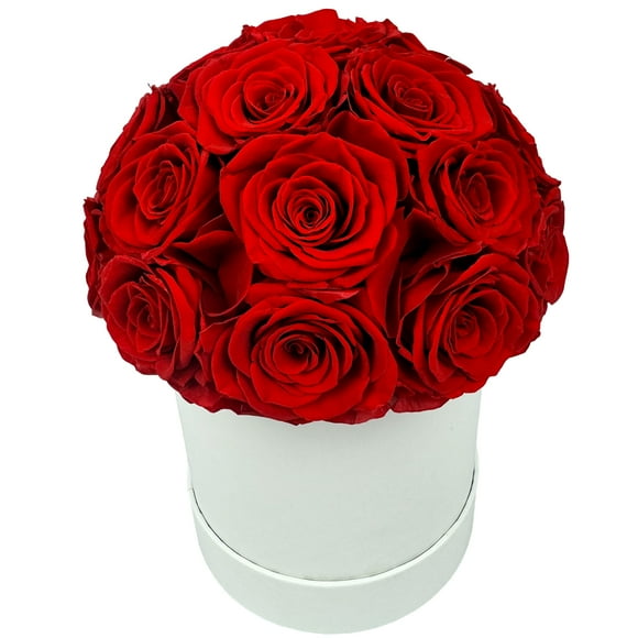 Everglim Red Preserved Rose Bouquet with 25-Pc. Flower Bouquet, Decorative Home Decor with Real, Luxury Eternal Roses for Anniversary, Valentine’s Day, Mother’s Day, or Mom, Wife Gift