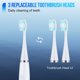 thumbnail image 4 of Raspador dental sónico eléctrico, eliminador de sarro, limpiador de dientes, limpieza dental, blanqueamiento dental, cepillo de dientes, eliminador de sarro, cuidado bucal, 4 of 6