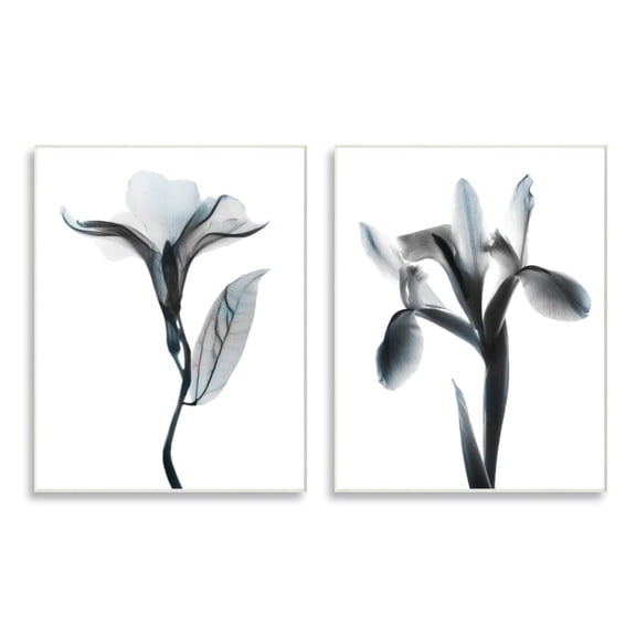 Stupell Industries Opaque Oleander Silhouette Minimal Nautical Floral Design by Albert Koetsier