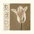 thumbnail image 3 of Melious, Amy 20x20 Black Modern Framed Museum Art Print Titled - Lumiere I, 3 of 5
