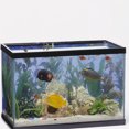 thumbnail image 3 of WRITWAA 1 Set Decorative Pebbles Multi-colored Glass Sand for Fish Farmers and Aquarists, 3 of 4