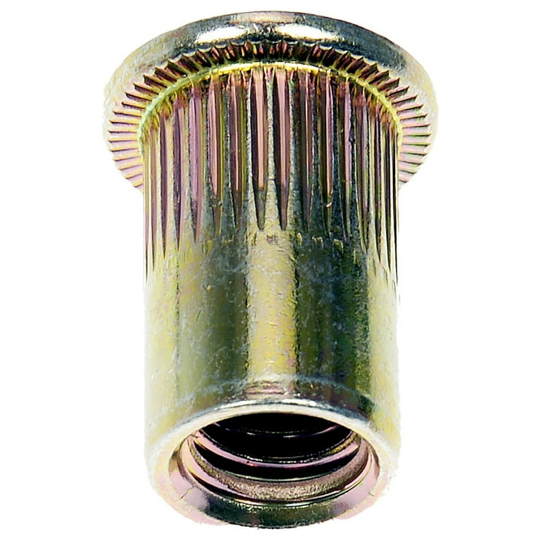 Dorman 963-255BX Rivet Nut - M8-1.25 (Pack of 20) - Walmart.com