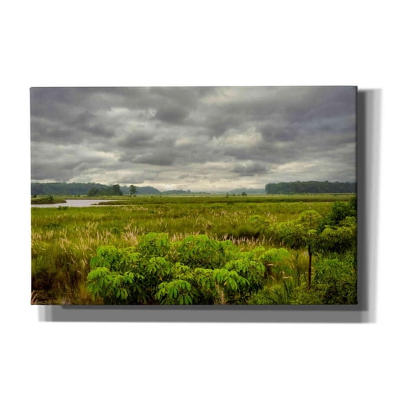 Epic Graffiti 'Nepal Jungle' by Grace Fine Arts Photography, Canvas Wall Art, 60"x40"