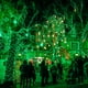thumbnail image 5 of Fairy Lights Dazzle Bright, 20 m, 60 LED, funciona con pilas, color verde, 5 of 6