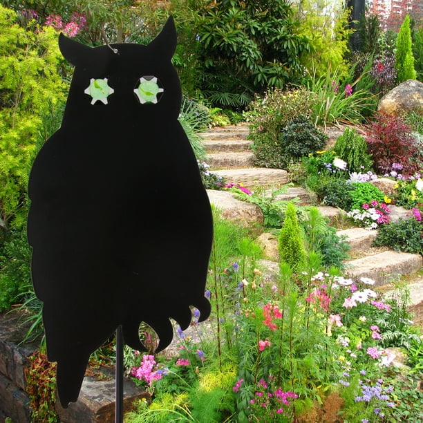 Owls For Gardens To Repel Birds Fasci Garden