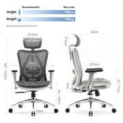 SIHOO High Back Ergonomic Office Mesh Desk Chair with Armrest & Lumbar Support, 300lb,Light Grey