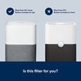 thumbnail image 2 of Blue Pure 211+ Genuine Replacement Filter, Particle and Activated Carbon, 2 of 4