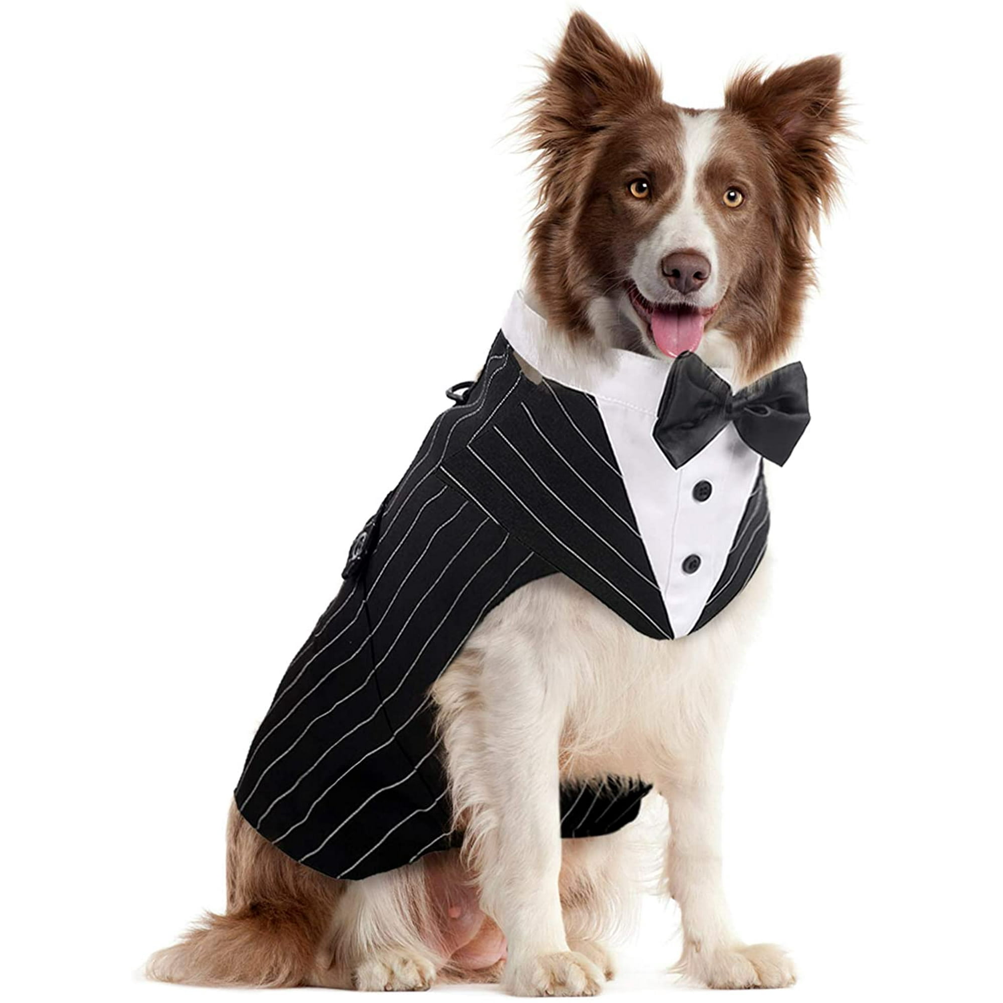 Dog attire online
