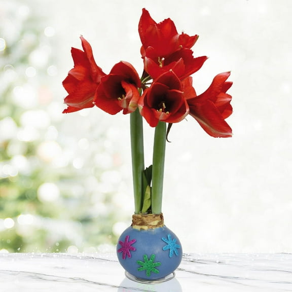 Pastel Blooms Waxed Amaryllis Flower Bulb with Stand, Grow Real Blooming Indoor Spring Flowers, No Water Needed