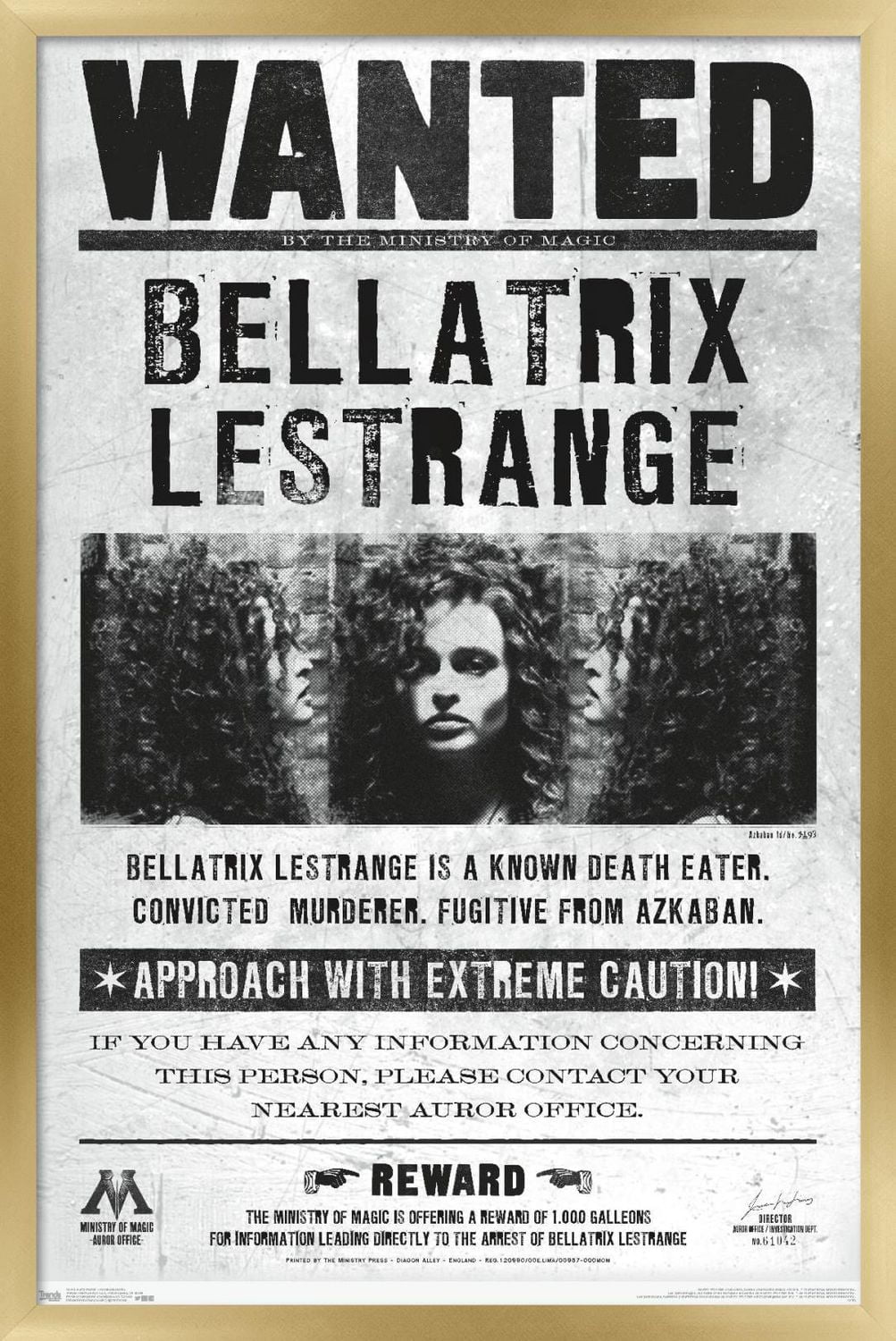 The Wizarding World: Harry Potter - Bellatrix Wanted Poster Wall Poster