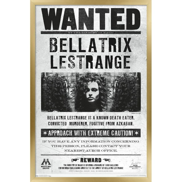 Le monde des sorciers: Harry Potter - Bellatrix Wanted Poster