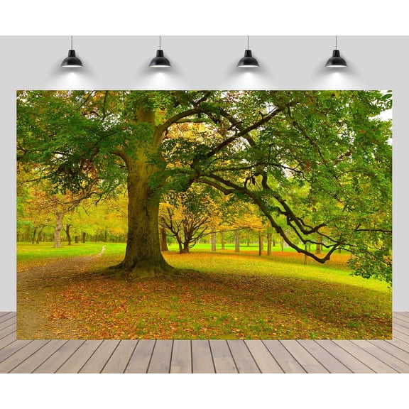 Autumn Beautiful scenery Backdrop Park Meadow Old Tree Nature Scenery Photography Background for Outdoor Picnic Party Decoration Kids Adults Travel Portraits Photo Studio Props Fabric