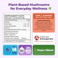 thumbnail image 6 of Drops of Nature Mushroom Gummies with Lion's Mane & Ashwagandha, Unisex, Mushroom Supplement, 80 Ct, 6 of 10