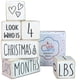 thumbnail image 1 of Accesorios de fotografía Milestone Blocks Cutie Carry con 6 bloques de madera, 1 of 9