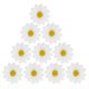 thumbnail image 1 of 10pcs pinzas para el cabello lindas margaritas girasol pernos de pelo pernos de pelo fresco para damas y niñas (blanco), 1 of 5