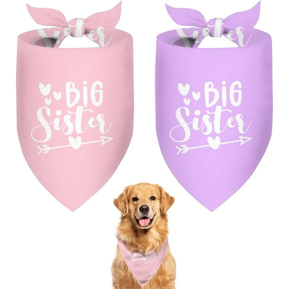 Big Sister Dog Bandana 2 Pack Pet Dog Scarf Baby Announcement Props Pregnancy Announcement Dog Bandana Gender Reveal Accessories Gift for Dog Lover Owner (Pink,Purple) Large