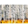 thumbnail image 3 of Greene, Taylor 24x17 Black Modern Framed Museum Art Print Titled - Saffron Timber, 3 of 5