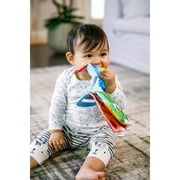 Baby Einstein Curious Explorers Teether Book