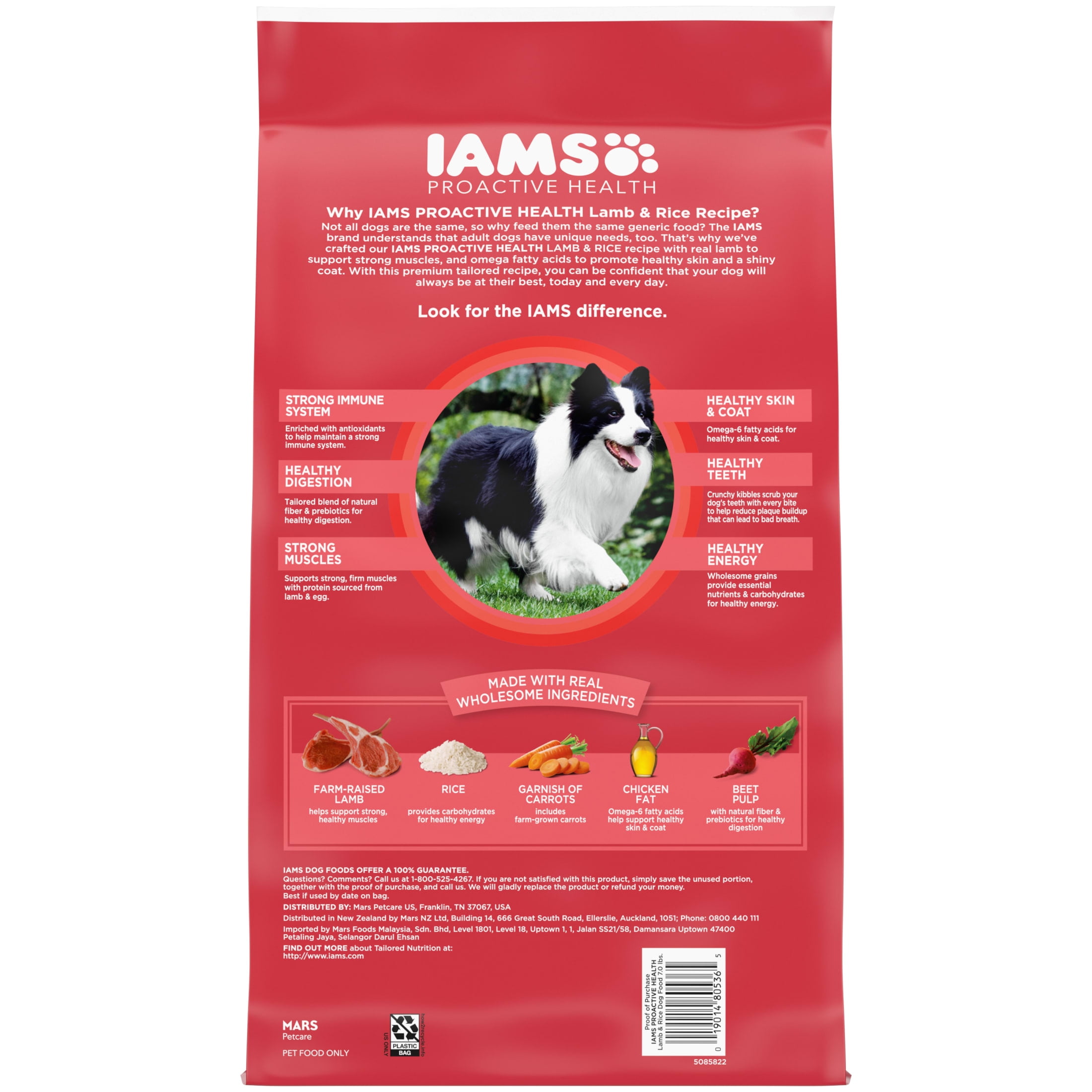 Iams Proactive Health Minichunks Dry Dog Food with Real Lamb & Rice, 7 lb. Bag