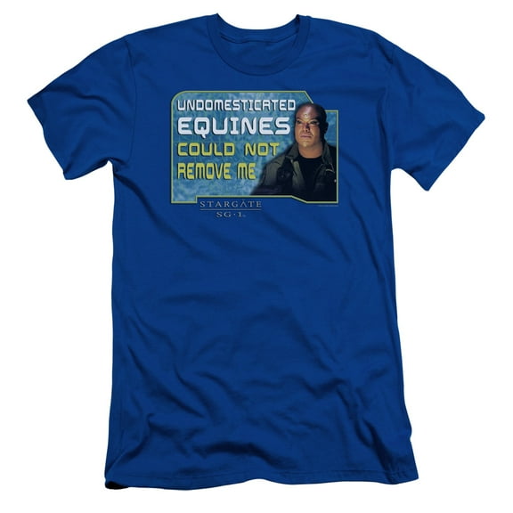 Sg1 Dedicated Adult 30/1 T-Shirt Royal Blue