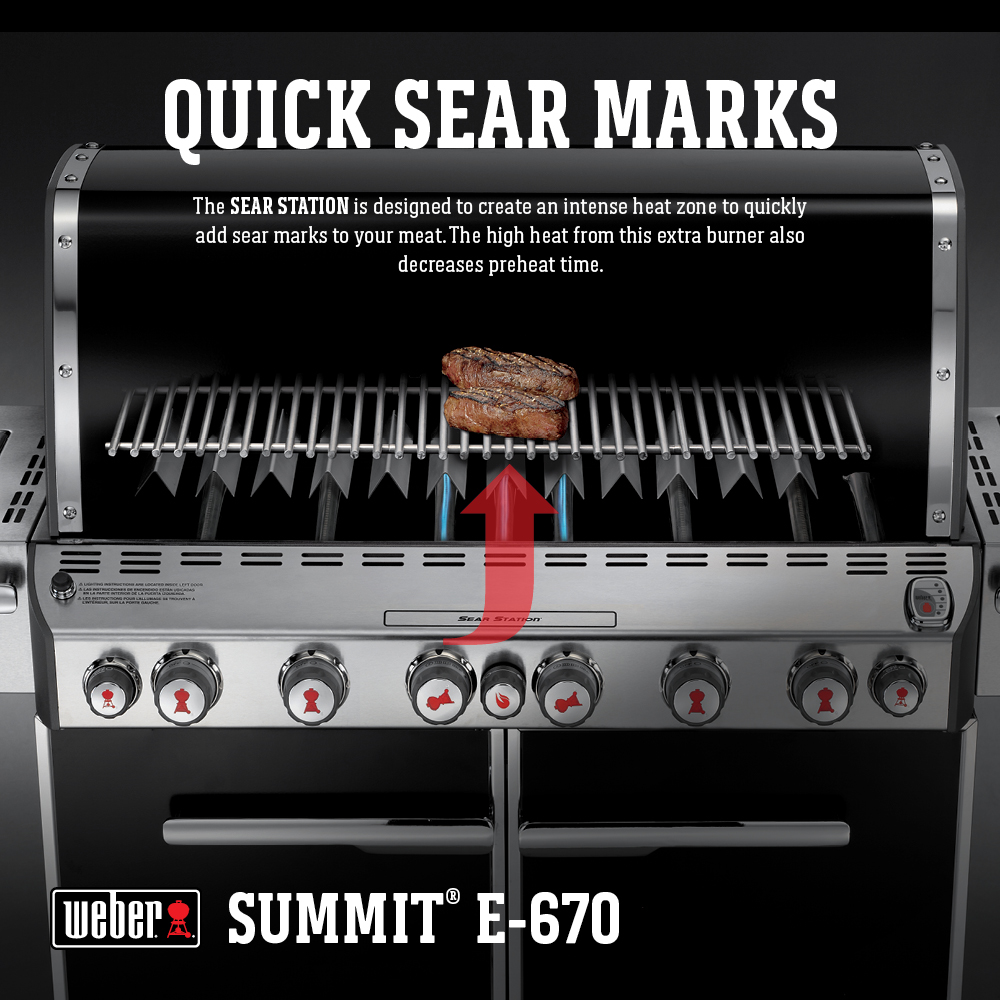 Weber Summit E-670 Gas Grill, Black - image 4 of 24