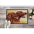 thumbnail image 2 of Caroline's Treasures CDCO0225JMAT Ensemble Irlandais Tapis Intérieur Ou Extérieur - 24 x 36, 2 of 4