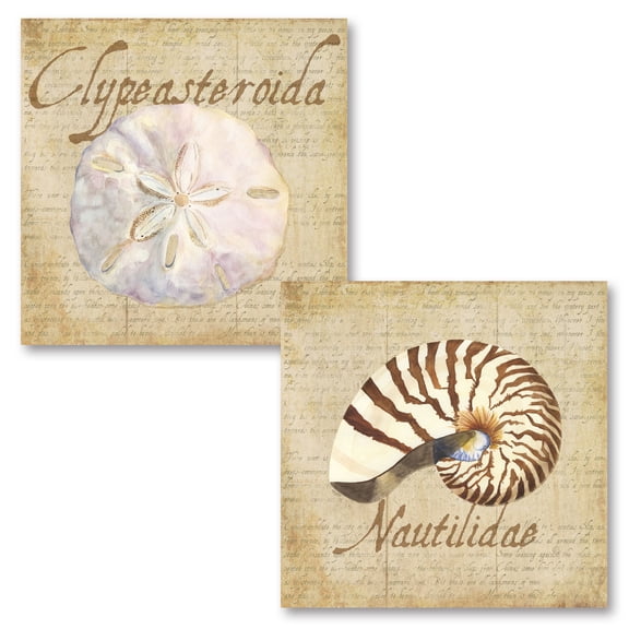 Lovely Tan and Brown Ocean Sand Dollar and Nautilus Sea Shell Set by Tara Reed; Coastal Décor; Two 12x12in Unframed Paper Posters