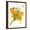 Brown Frame, variant on Art.com Spring Mix Stretched Canvas Print Wall Art by Jan Weiss, 24" x 32"