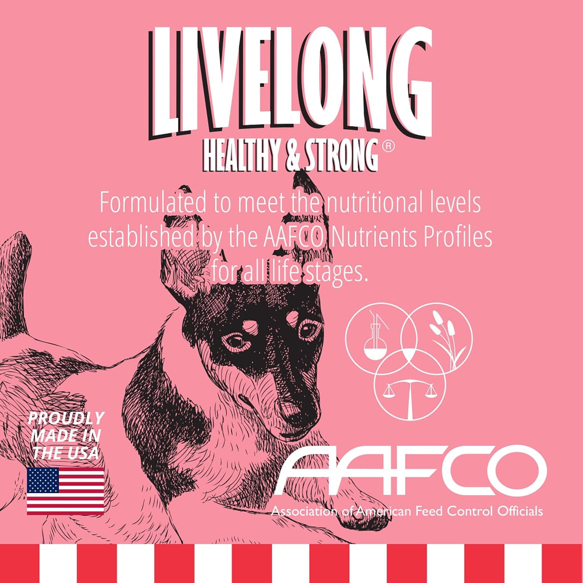 Livelong Healthy & Strong: 12 Pack: Beef & Sweet Potato Recipe - 12.5oz Cans, Wet Dog Food, High Protein, All Natural, No Preservatives,