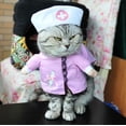 thumbnail image 1 of Artículos para mascotas Ropa para perros Ropa de pirata de pie Ropa para perros Policía Médico Traje de pie Transfiguración de guitarra Traje divertido (enfermera, s) Sailing Electrónica, 1 of 5