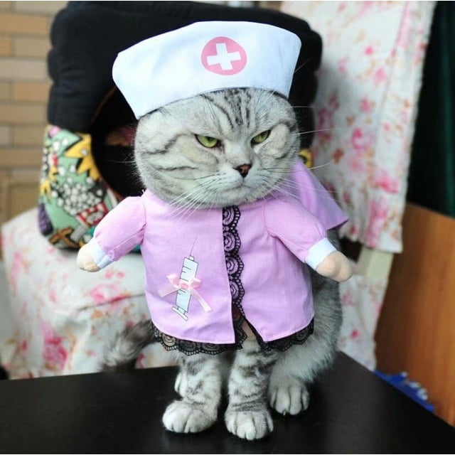 Artículos para mascotas Ropa para perros Ropa de pirata de pie Ropa para perros Policía Médico Traje de pie Transfiguración de guitarra Traje divertido (enfermera, s) Sailing Electrónica