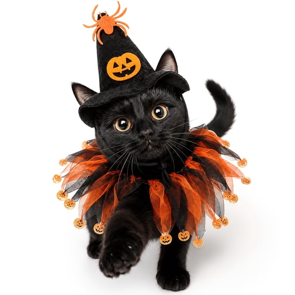 2 Pack, Halloween for Dogs Cats Witch Hat 6 Inch Pet Festive Wreath Collar Spooky Cute Pet Outfit for Halloween Photo Shoots and Trick Or Treat Events, Black Orange