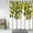 Botanicalhwk0422, variant on Lemon Tree Summer Shower Curtain, Yellow Green Shower Curtain Set with Hooks, Spring Summer Waterproof Fabric Shower Curtains for Bathroom Decor, 72x72 Inch Bath Curtain