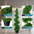 thumbnail image 5 of Artificial Boxwood Spiral Topiary,Topiary Trees 4 Ft Tall With Realistic PVC Leaves,Replaceable Leaves For Long Lasting Green,Boxwood Topiary For Front Porch Or Balcony,2 Pack, 5 of 8