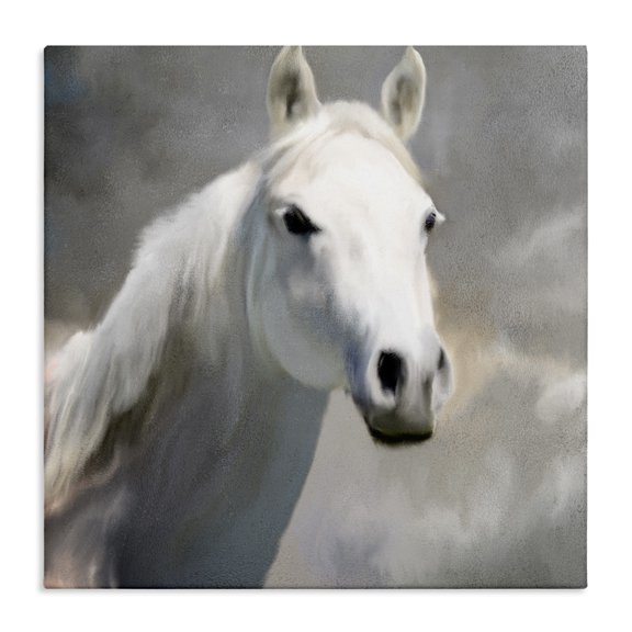 Stupell Industries Traditional White Horse Portrait Canvas Art, 17 x 17, by Kim Allen