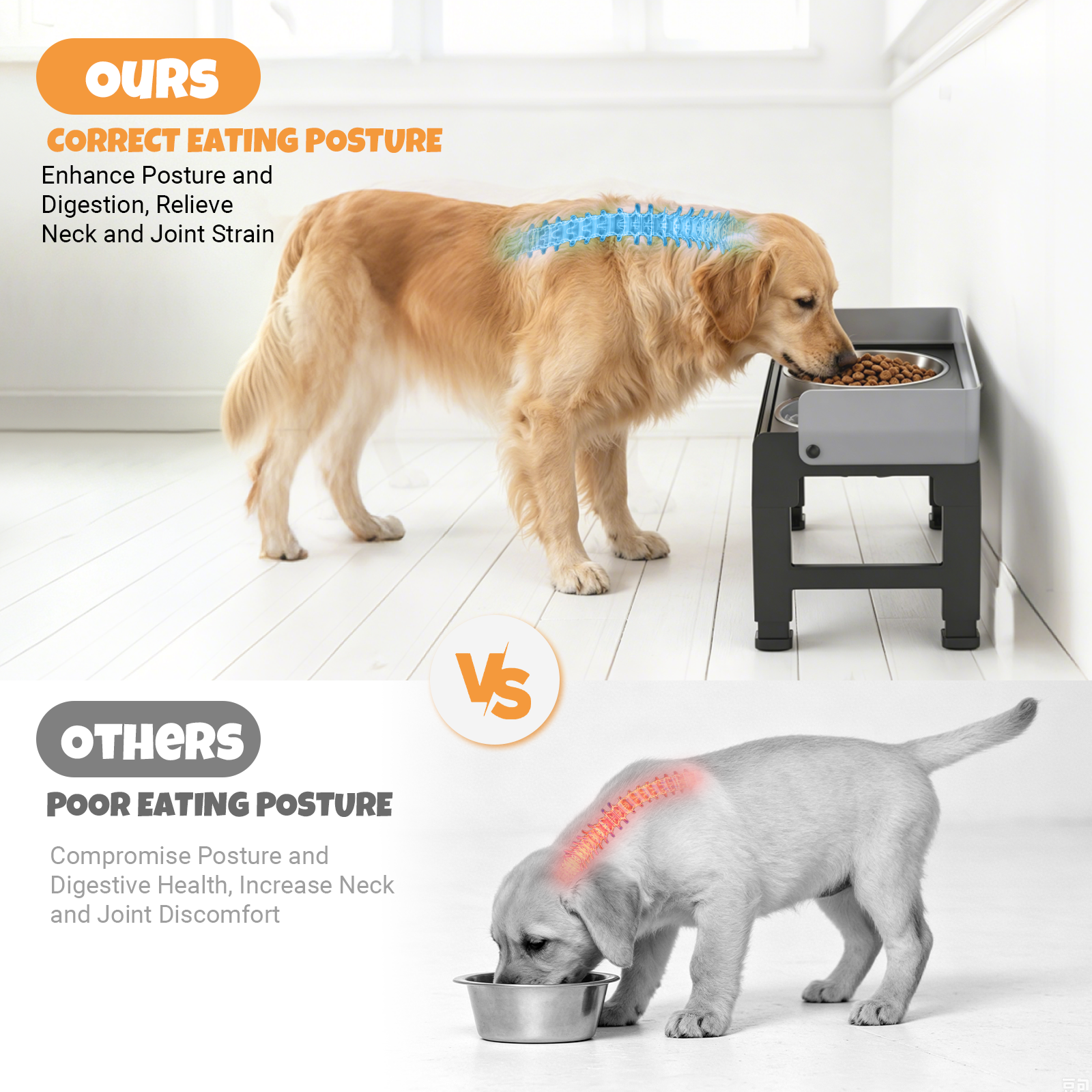 Euqvunn Elevated Dog Bowls, 6 Adjustable Heights with Slow Feeder photo 3