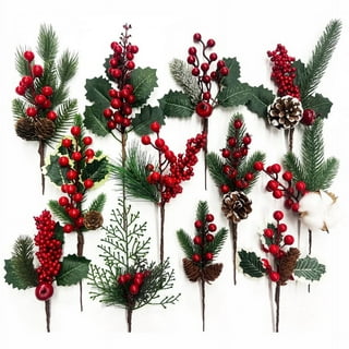10pcs Christmas Picks and Sprays Artificial Berries Pine Cones Set,Evergreen Pine Branch Holly Stem for Decoration,Winter Floral Picks,Xmas Wreath