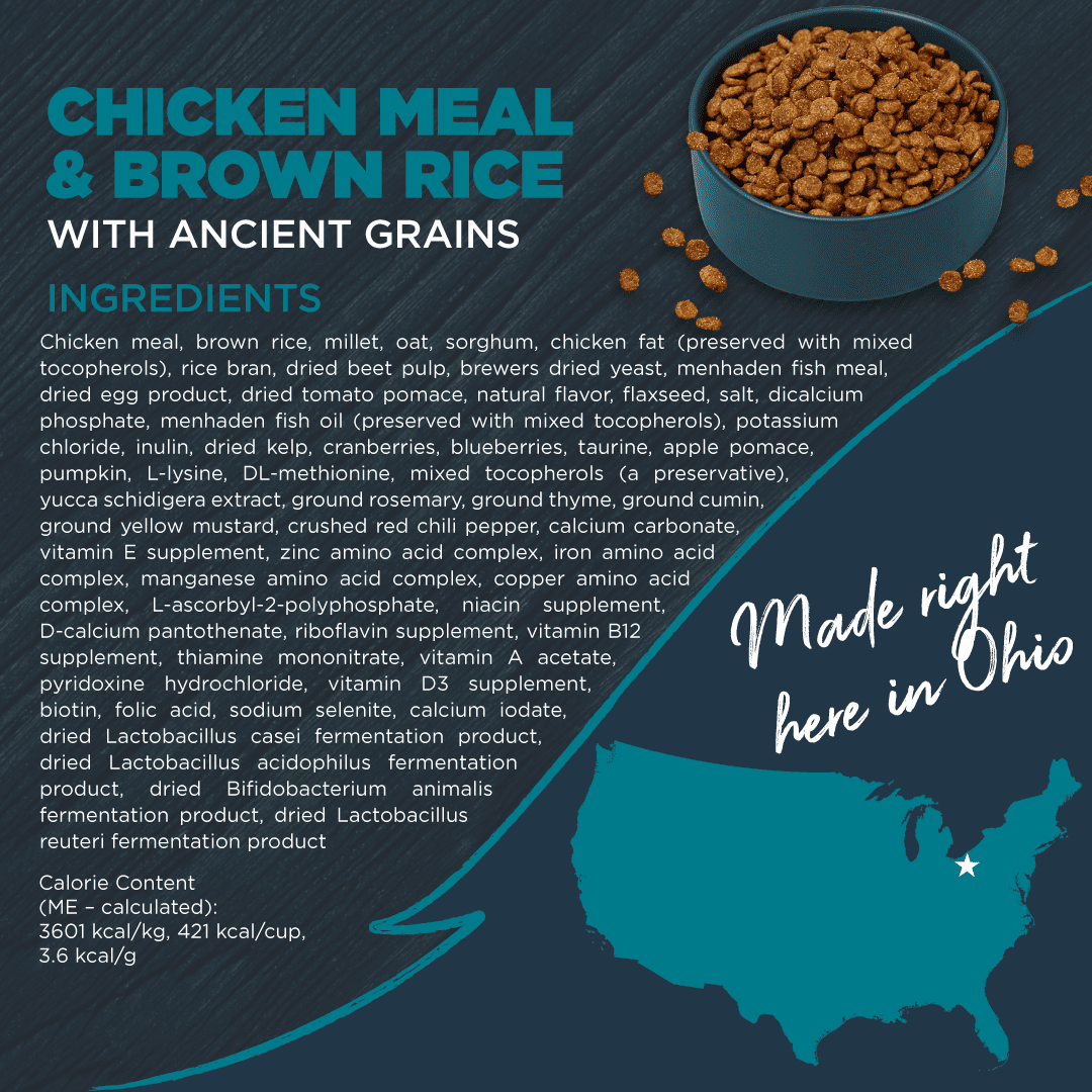 Blackwood Dry Dog Food Chicken Meal & Brown Rice with Ancient Grains 10 lb.