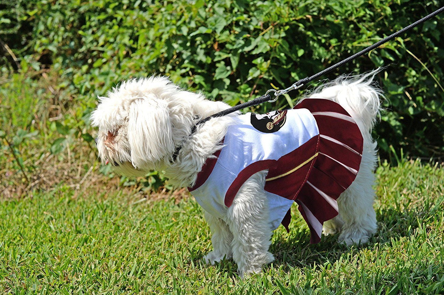 golden knights dog jersey