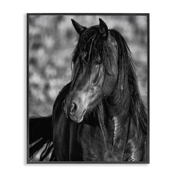 Stupell Industries Beauty In Black Black Framed Giclee Art, design by Tim West