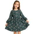 thumbnail image 2 of Jamsmile Toddler Girls Dress Autumn Floral Print Long Sleeve Party Casual Dresses Ruffle Hem With Pockets Kids Girls Sundress, 2 of 9