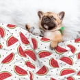 thumbnail image 3 of Pofeuu Watermelon Print Puppy Blanket,Dog Blankets,Pet Blanket Cozy Cat Blankets for Indoor Cats, Fuzzy Pet Blanket for Kitten Doggy Dog Blankets-Medium, 3 of 8